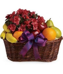 Plants and Fruit Basket