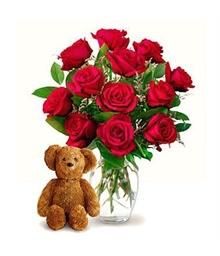 12 Roses and Teddy