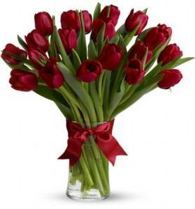 Red Tulips