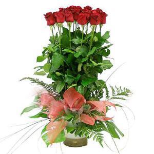 Red Roses Arrangement