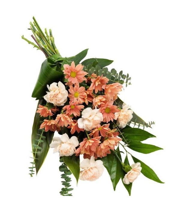 Peach Sheaf