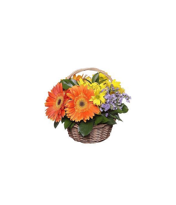 Colourful Basket