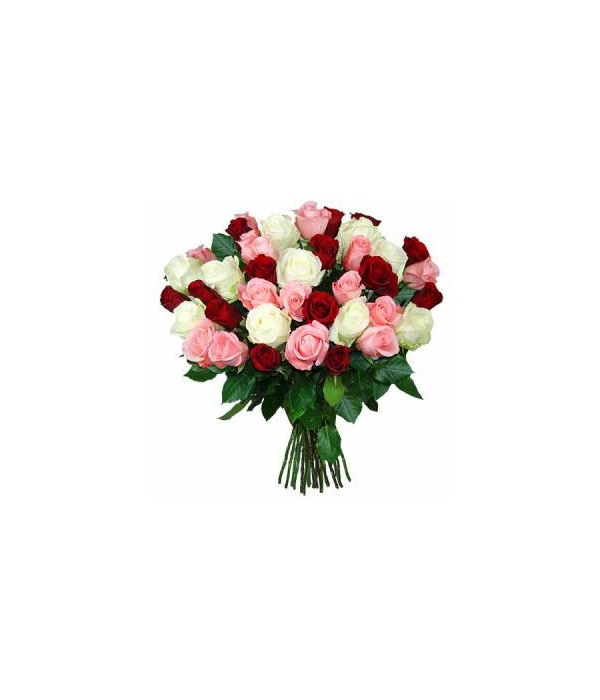 Rose Floral