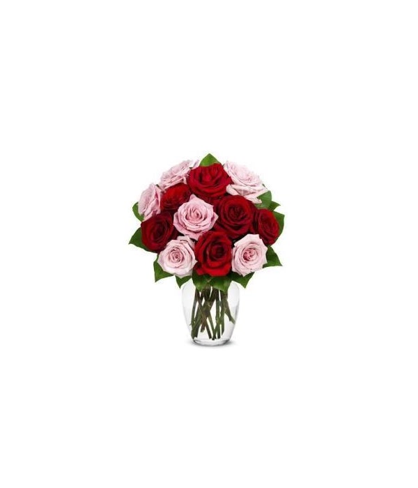 Romantic Rose Flowers