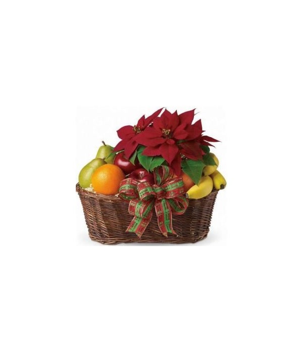 Poinsettia Basket