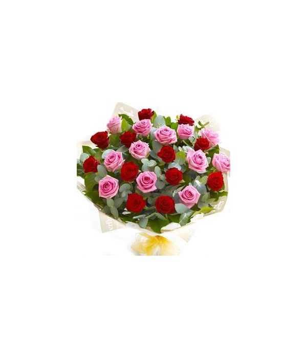 Red and Pink Roses