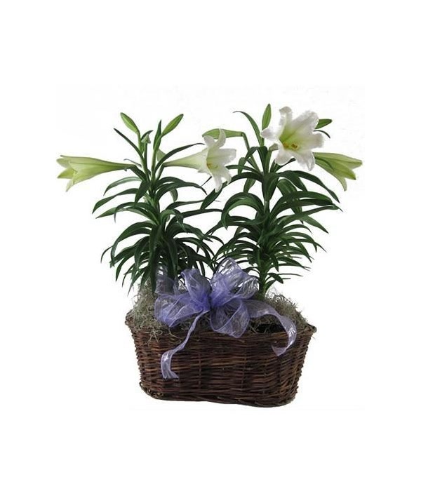 Easter Lily Basket