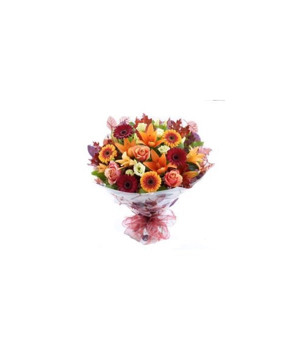 Fall Expression