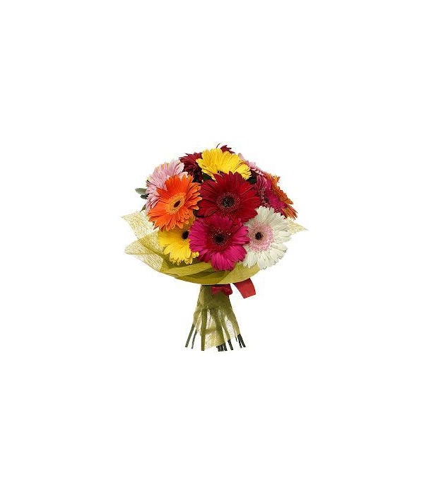 Gerberas Bouquet