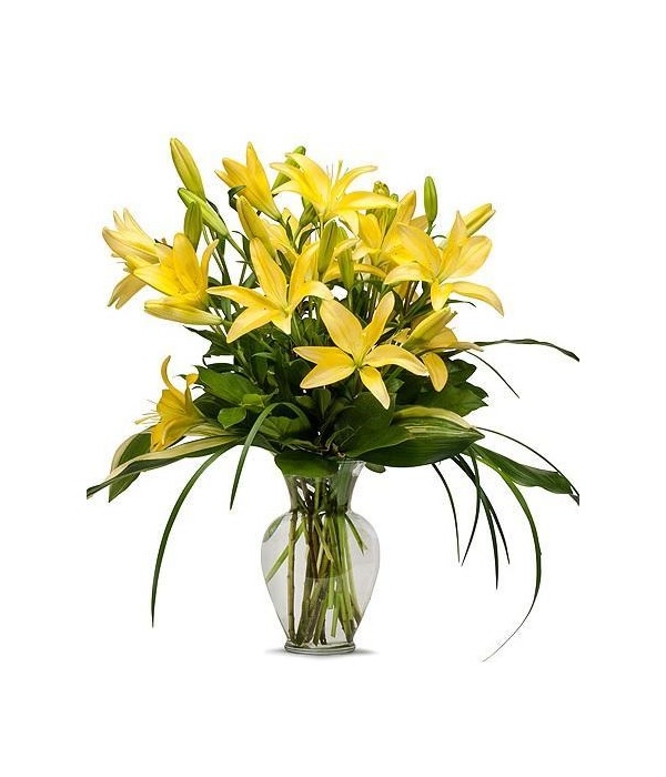 Sunny Lilies