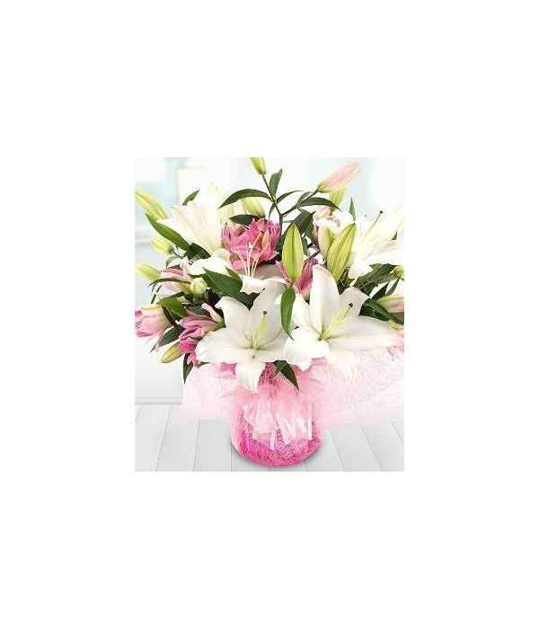 Oriental Lilies