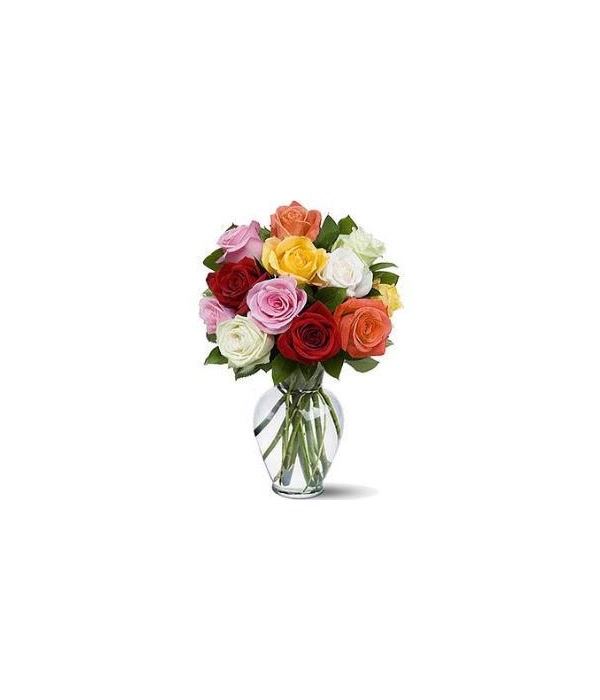 Multicolored Roses