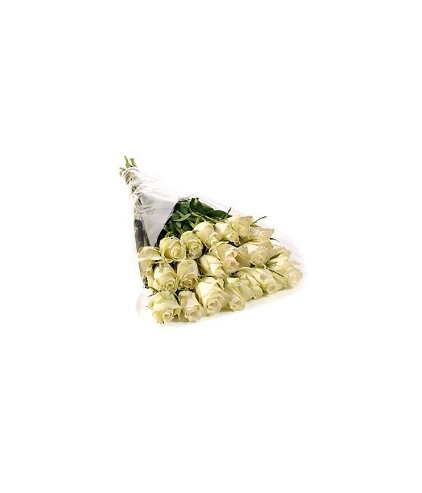 20 White Roses