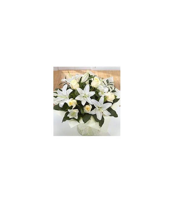 White Rose Lily