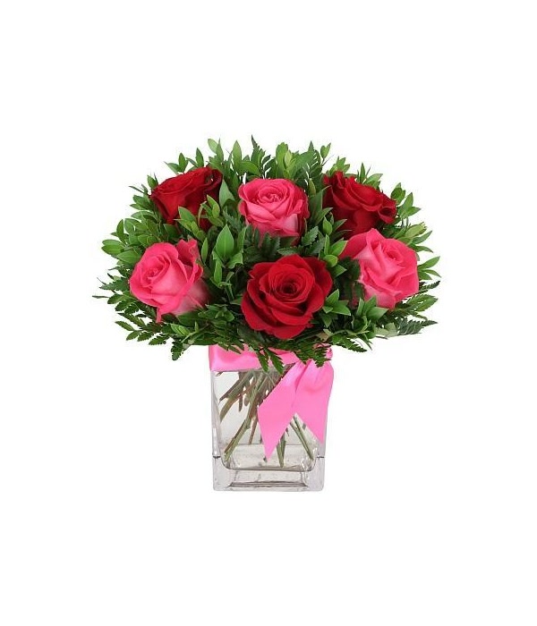 Pink and Red Roses