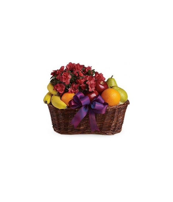 Plants and Fruit Basket