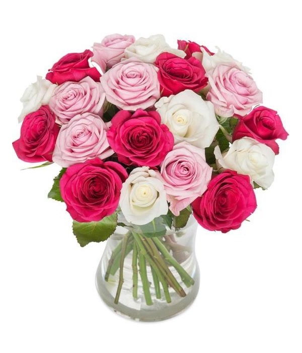 White and Pink Roses