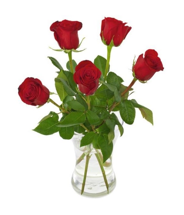 5 Roses Bouquet