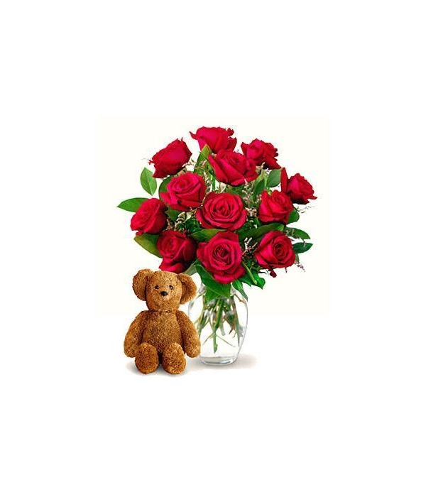 12 Roses and Teddy
