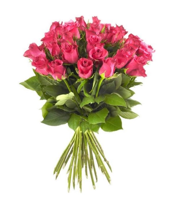 Pink Roses