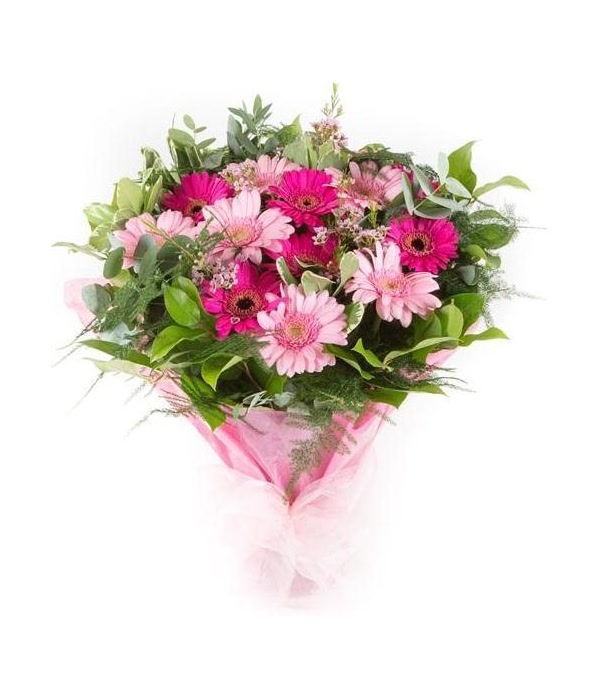 Sweet Daisies