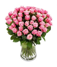 50 Pink Roses