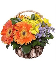 Colourful Basket