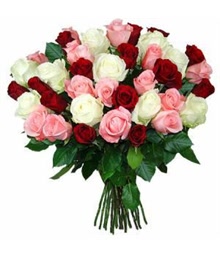 Rose Floral