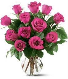 Dozen Pink Roses