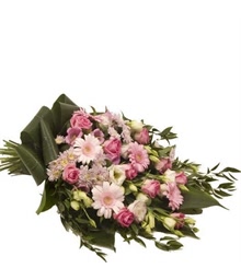 Pink Sheaf