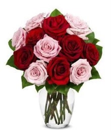 Romantic Rose Flowers
