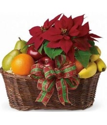 Poinsettia Basket