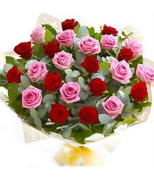 Red and Pink Roses