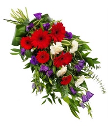 Vibrant Sheaf