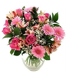 Pink Flowers