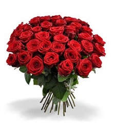 40 Red Roses