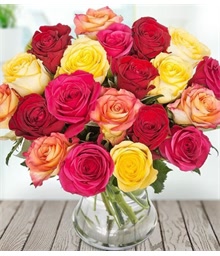 Fiery Roses