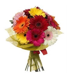 Gerberas Bouquet