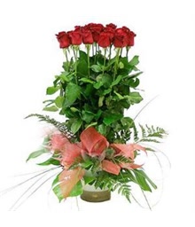 Red Roses Arrangement