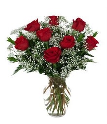 8 Red Roses