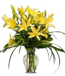 Sunny Lilies