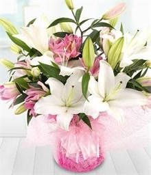 Oriental Lilies