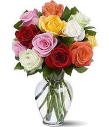 Multicolored Roses