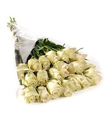 20 White Roses