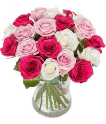 White and Pink Roses