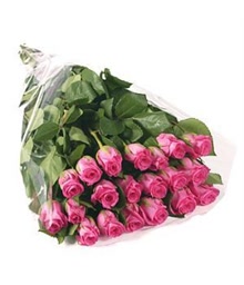 20 Pink Roses