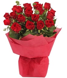 20 Red Roses