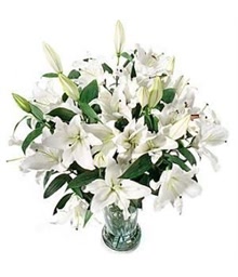 White Lilies