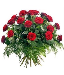 17 Red Roses