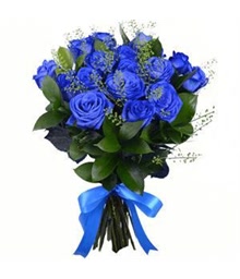 Blue Roses